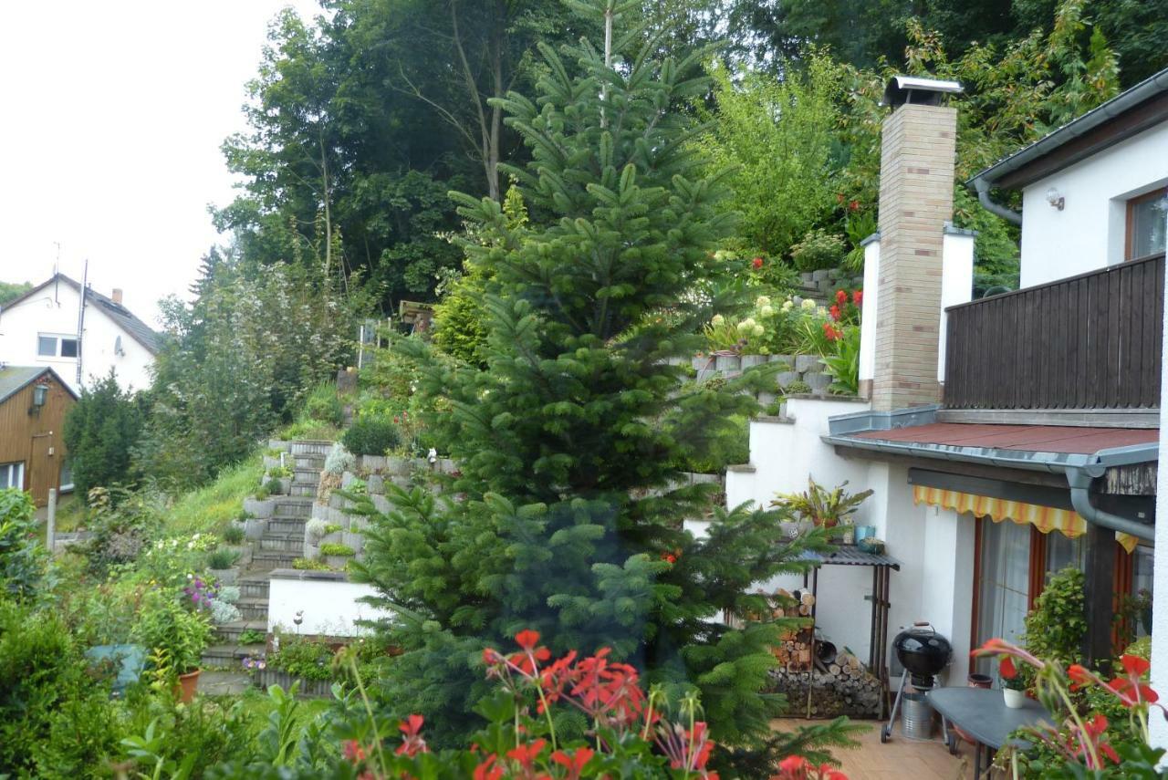 Pension Johannistal Sebnitz Dış mekan fotoğraf
